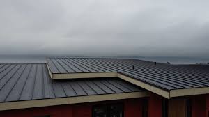 Best Hot Roofs  in Endicott, NY